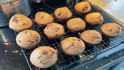 Desserts - Double chocolate muffins