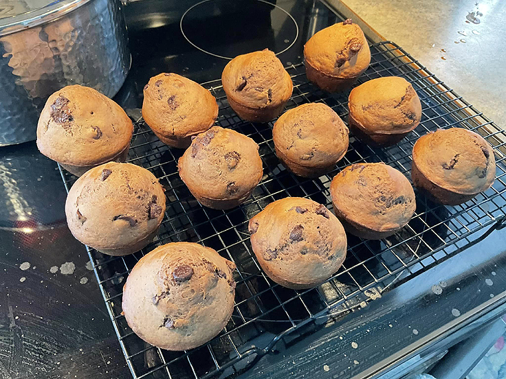 Double Chocolate Muffins