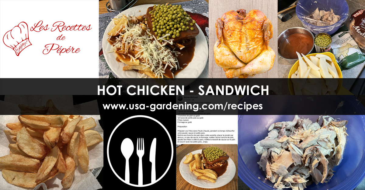 Hot Chicken Sandwich recipe