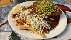 Hot Chicken Sandwich