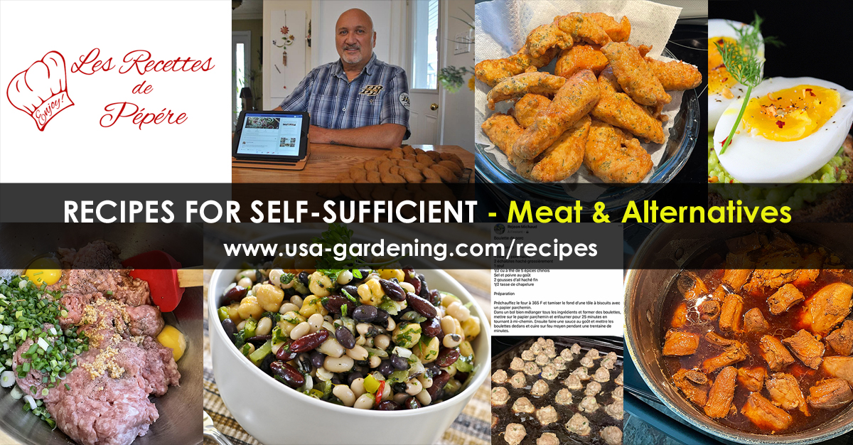 Recipes of Meat and Alternatives
