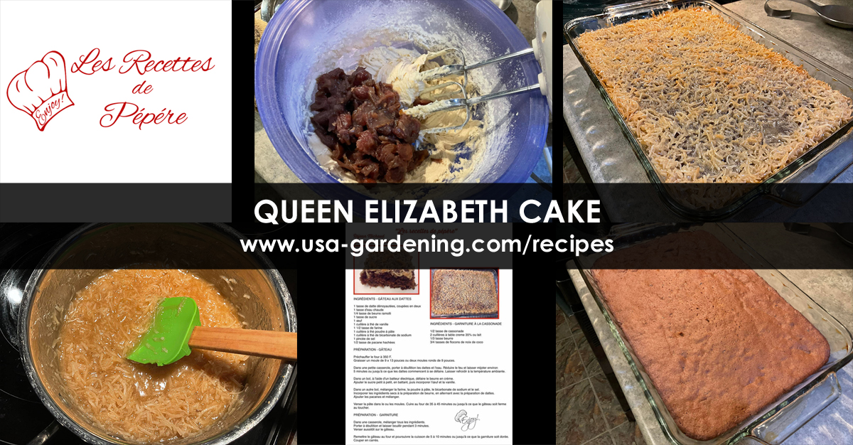 Queen Elizabeth Cake recipe