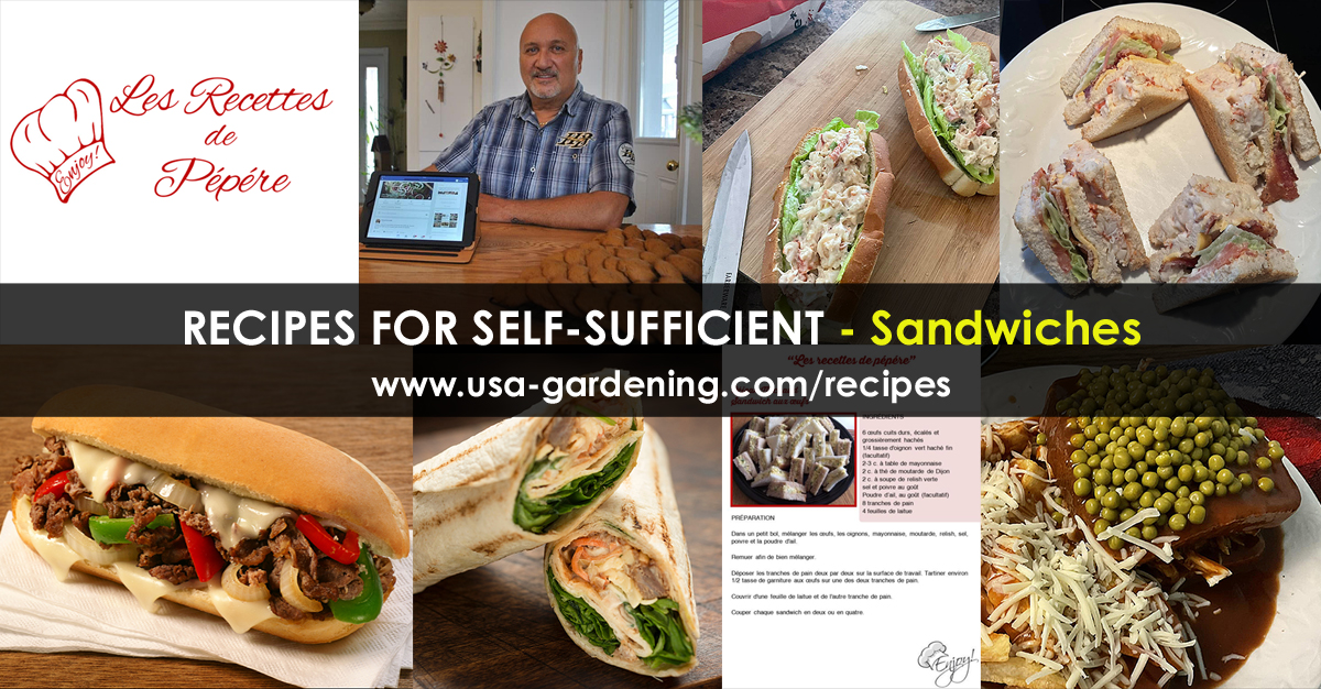 Recipes of Sandwiches