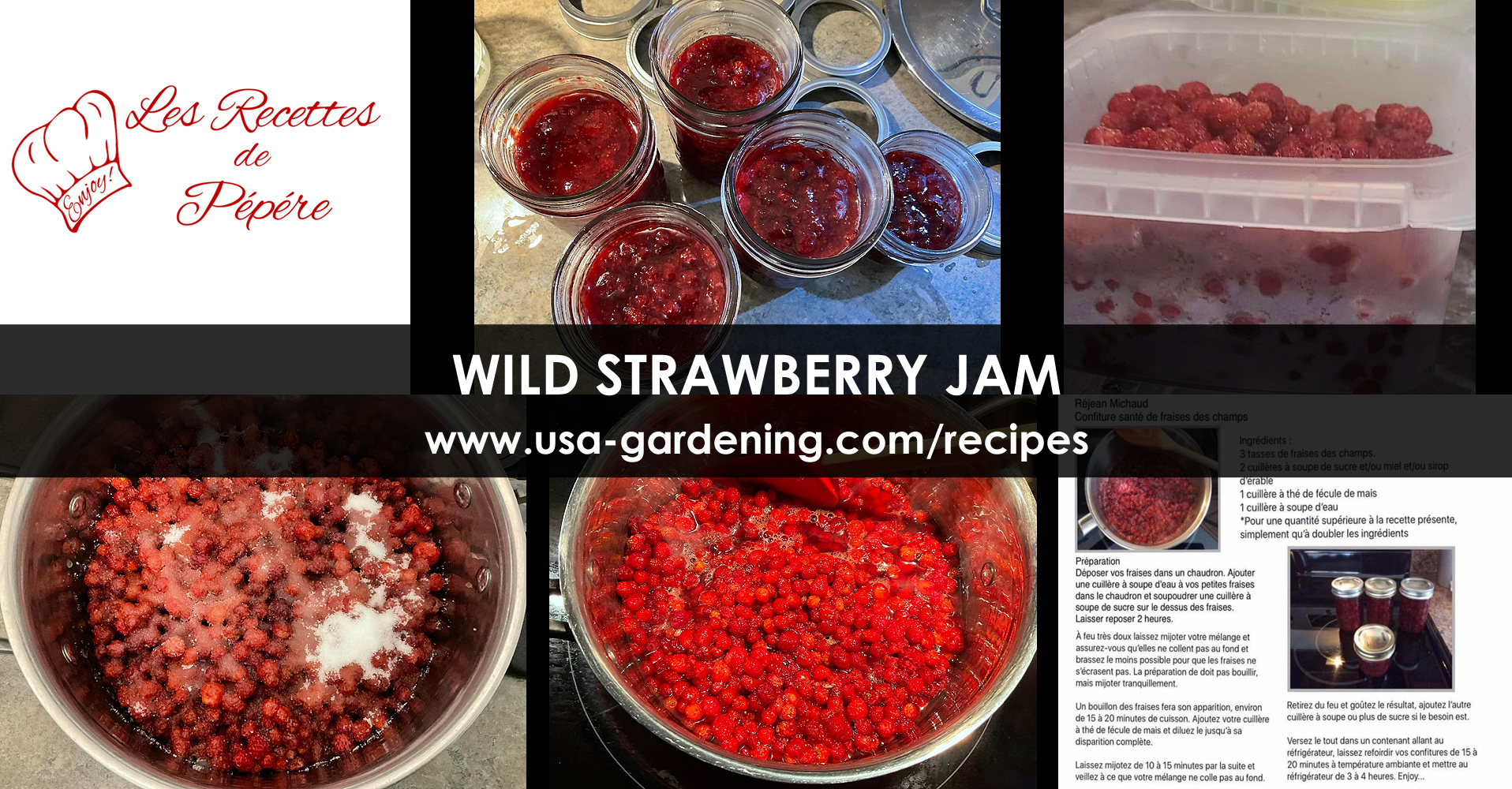 Wild Strawberry Jam - Recipes for Self-Sufficient Living