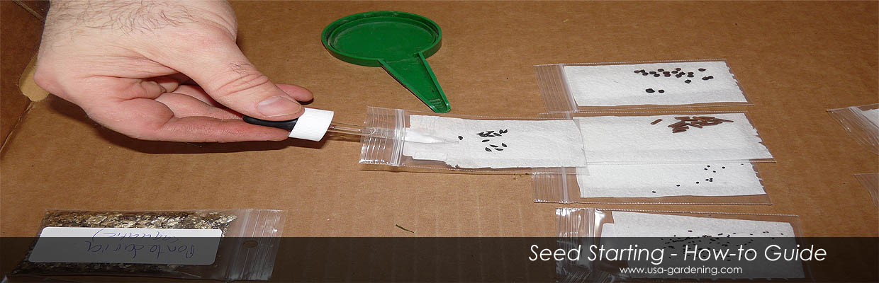 DIY Starting Seeds indoors instructions - Growing Indoors DIY Guides - How to grow seedlings indoors 
