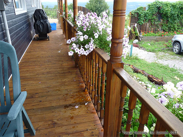 Stain to protect the wood as well - Exterior stain - stain balcony - staining raised deck
