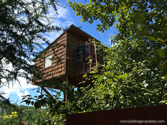 Treehouse cabins