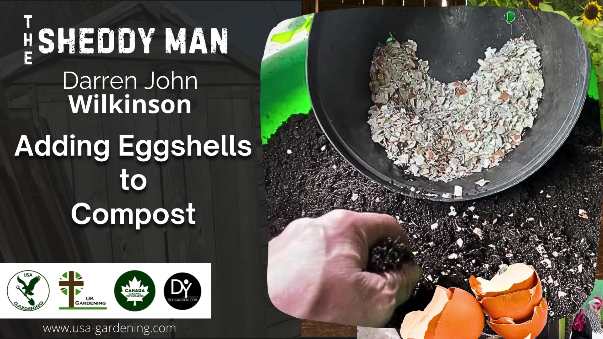 Eggshells