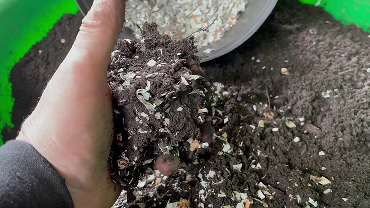 Mix the crushed eggshells into the compost