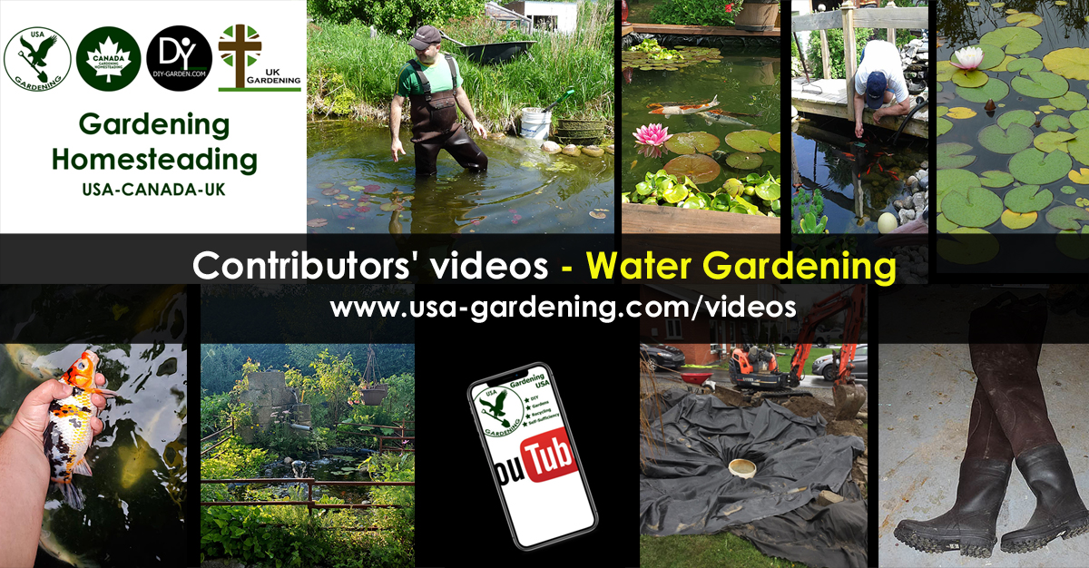 Water Gardening