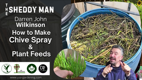 How to Make Chive spray and plant feeds