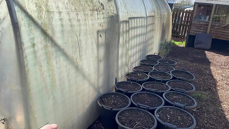 Homemade compost from previous seasons