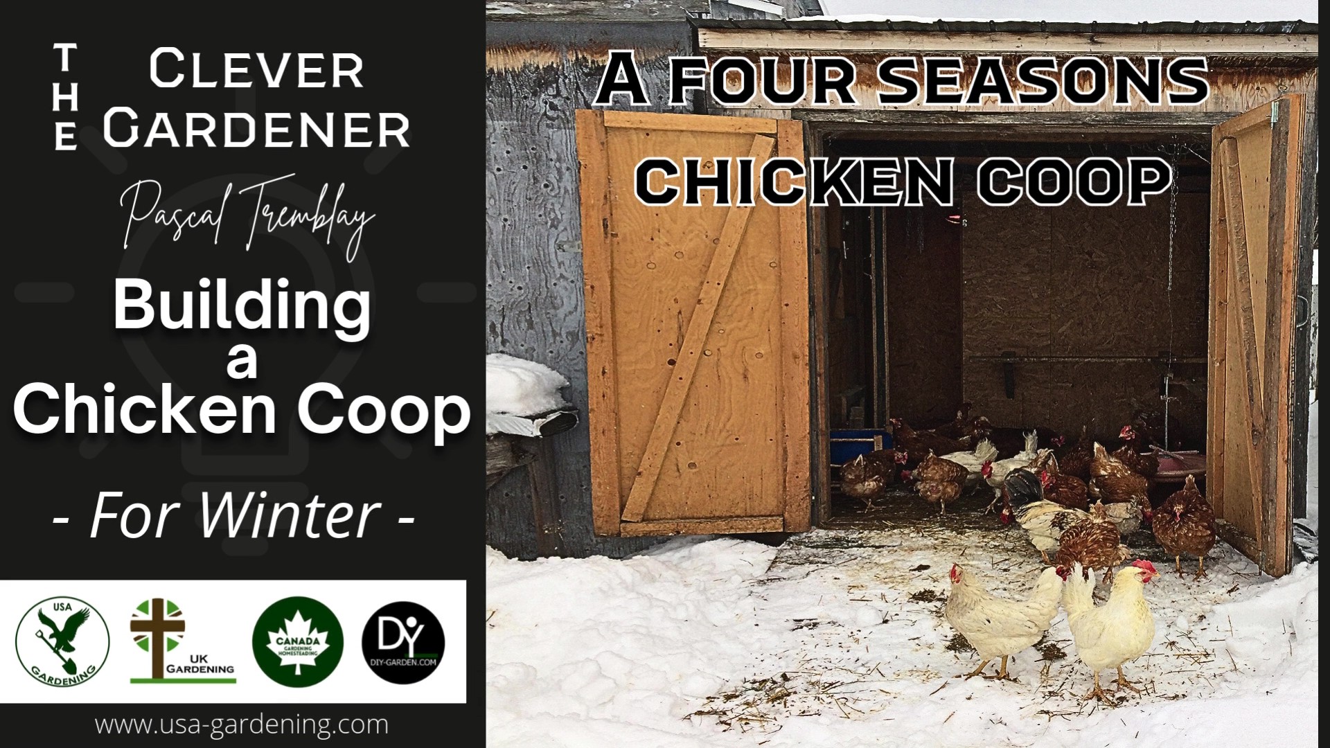 How to build chicken coop