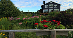 Videos about Tips & tricks at home or at garden