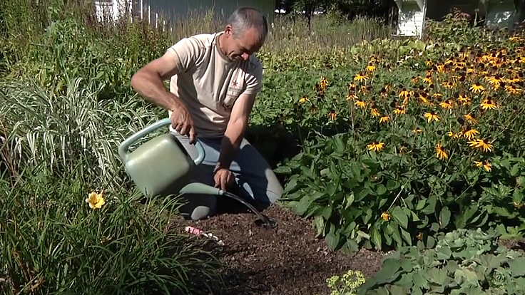 Serge Fortier watering his plants