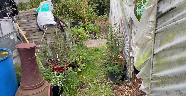 Unmulched garden path
