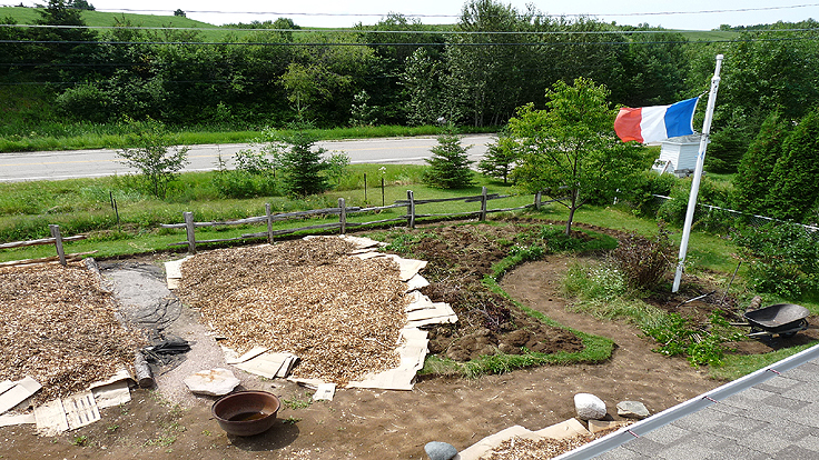 Sheet mulching method using cardboard