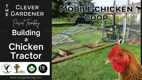 How to build a chicken tractor on wheels