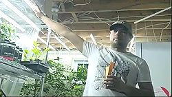 Videos about Seeds & seedlings
