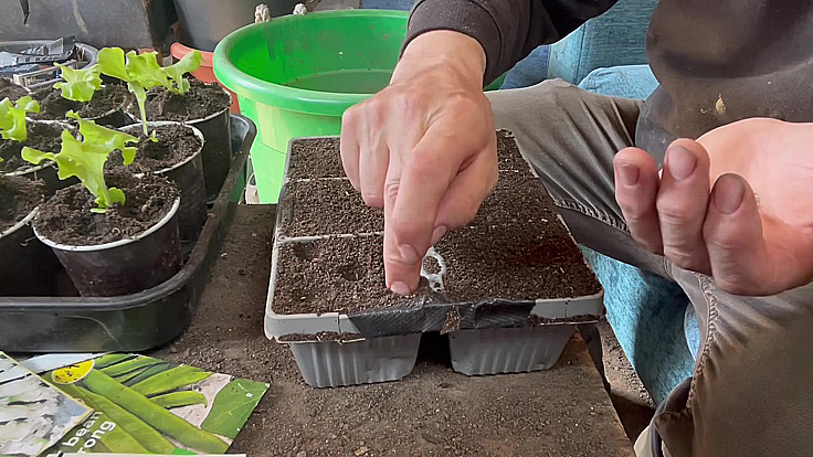 Idea for a crop to prolong the season