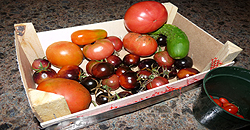 Videos about Fruit and vegetable garden - Edible gardening