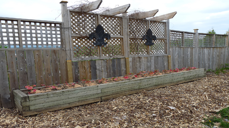 Wood fencing ideas