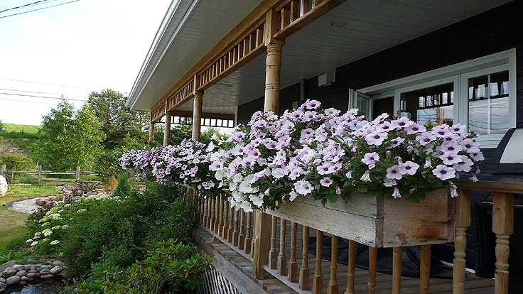 Wraparound porch - Country look