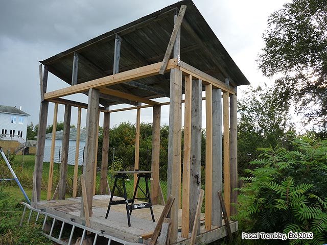 Shed Framing - Shed framework - Shed structure - Build shed